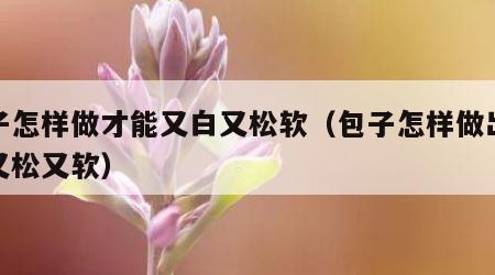 包子怎样做才能又白又松软（包子怎样做出来的又松又软）