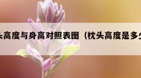 枕头高度与身高对照表图（枕头高度是多少厘米）