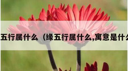 缘五行属什么（缘五行属什么,寓意是什么）