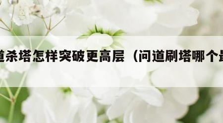 问道杀塔怎样突破更高层（问道刷塔哪个最好打）