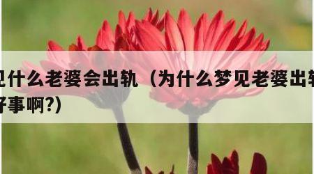 梦见什么老婆会出轨（为什么梦见老婆出轨就是好事啊?）