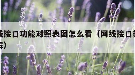 网线接口功能对照表图怎么看（网线接口类型图解）