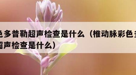 彩色多普勒超声检查是什么（椎动脉彩色多普勒超声检查是什么）