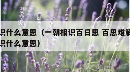 相识什么意思（一朝相识百日思 百思难解朝相识什么意思）