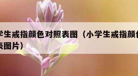 小学生戒指颜色对照表图（小学生戒指颜色对照表图片）