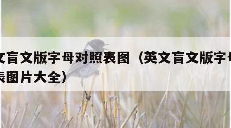 英文盲文版字母对照表图（英文盲文版字母对照表图片大全）