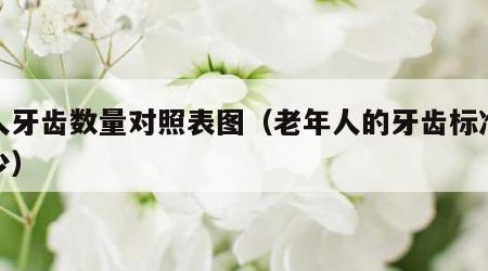 老人牙齿数量对照表图（老年人的牙齿标准是多少）