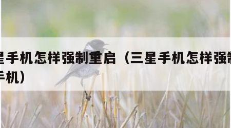 三星手机怎样强制重启（三星手机怎样强制重启手机）