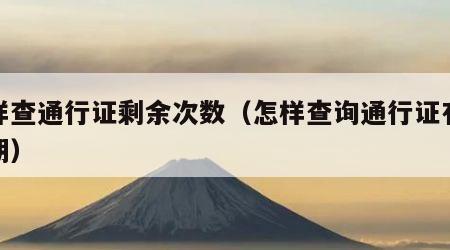 怎样查通行证剩余次数（怎样查询通行证有没过期）
