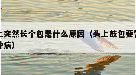 头上突然长个包是什么原因（头上鼓包要警惕四种病）