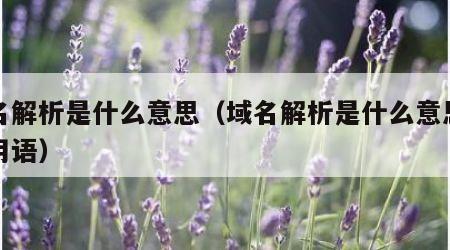 域名解析是什么意思（域名解析是什么意思网络用语）
