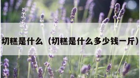 切糕是什么（切糕是什么多少钱一斤）