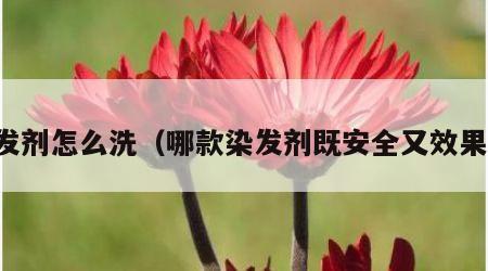 染发剂怎么洗（哪款染发剂既安全又效果好）