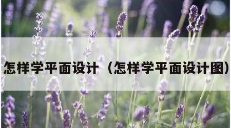 怎样学平面设计（怎样学平面设计图）