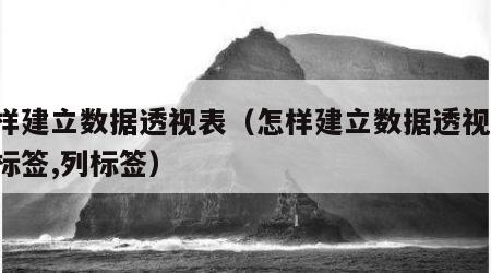 怎样建立数据透视表（怎样建立数据透视表,行标签,列标签）