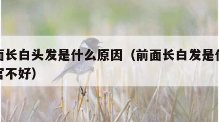 前面长白头发是什么原因（前面长白发是什么器官不好）