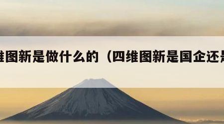 四维图新是做什么的（四维图新是国企还是央企）