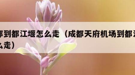 成都到都江堰怎么走（成都天府机场到都江堰怎么走）