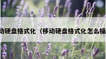 移动硬盘格式化（移动硬盘格式化怎么操作）