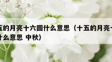 十五的月亮十六圆什么意思（十五的月亮十六圆什么意思 中秋）