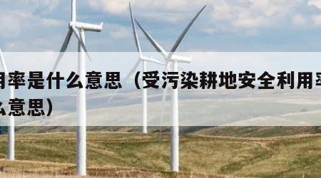 利用率是什么意思（受污染耕地安全利用率是什么意思）