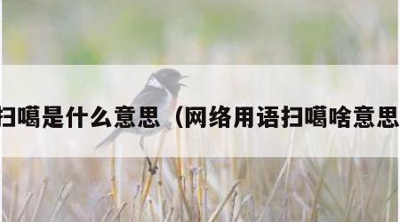 扫噶是什么意思（网络用语扫噶啥意思）