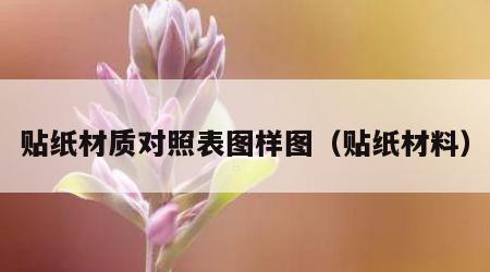 贴纸材质对照表图样图（贴纸材料）
