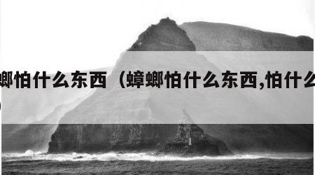 蟑螂怕什么东西（蟑螂怕什么东西,怕什么东西）