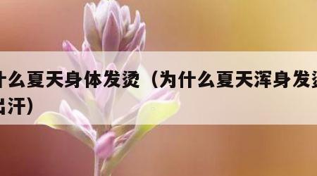 为什么夏天身体发烫（为什么夏天浑身发烫容易出汗）