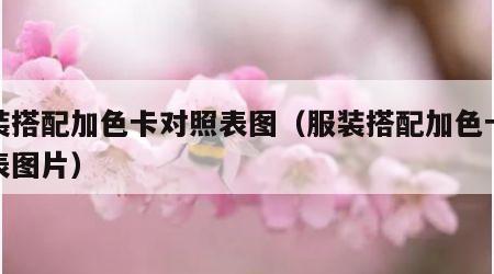 服装搭配加色卡对照表图（服装搭配加色卡对照表图片）