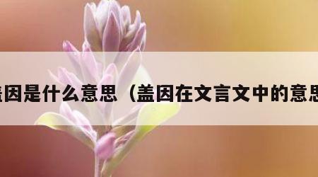 盖因是什么意思（盖因在文言文中的意思）