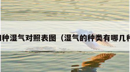 四种湿气对照表图（湿气的种类有哪几种）