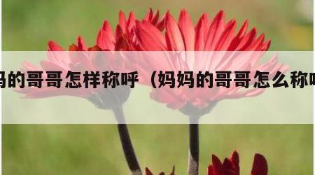 妈妈的哥哥怎样称呼（妈妈的哥哥怎么称呼她）