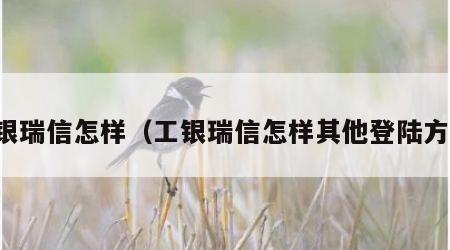 工银瑞信怎样（工银瑞信怎样其他登陆方式）