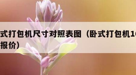 卧式打包机尺寸对照表图（卧式打包机160的报价）