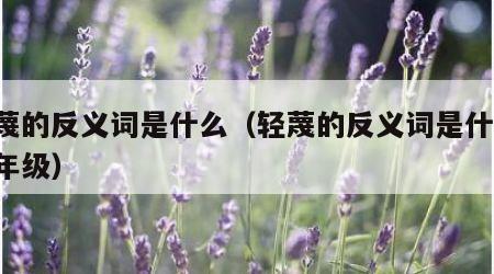轻蔑的反义词是什么（轻蔑的反义词是什么 三年级）