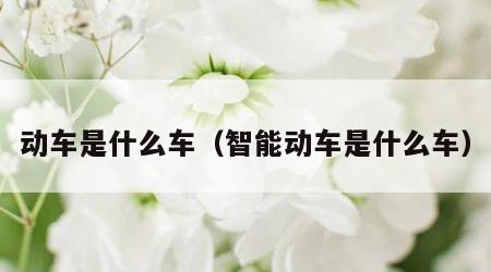 动车是什么车（智能动车是什么车）