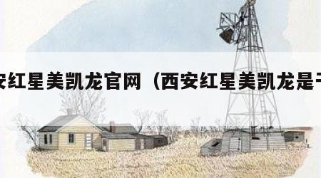 西安红星美凯龙官网（西安红星美凯龙是干嘛的）