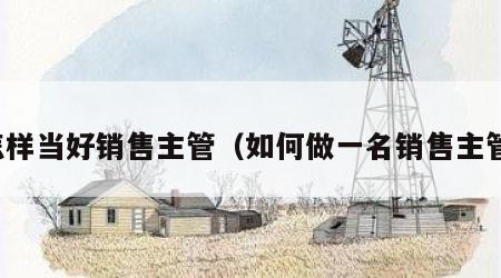 怎样当好销售主管（如何做一名销售主管）