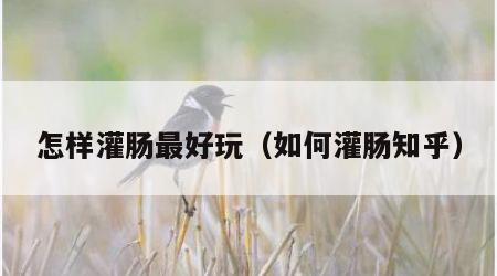 怎样灌肠最好玩（如何灌肠知乎）