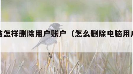 电脑怎样删除用户账户（怎么删除电脑用户账号）