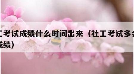 社工考试成绩什么时间出来（社工考试多会儿出成绩）