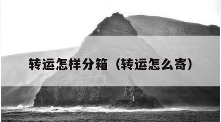 转运怎样分箱（转运怎么寄）