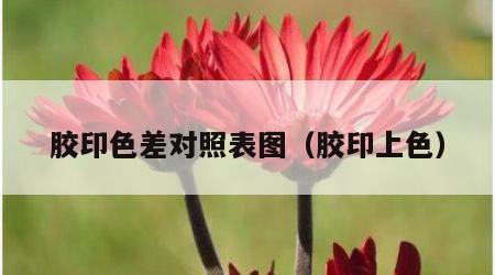 胶印色差对照表图（胶印上色）