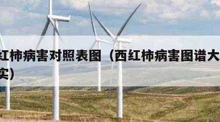 西红柿病害对照表图（西红柿病害图谱大全 果实）