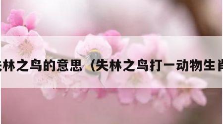 失林之鸟的意思（失林之鸟打一动物生肖）