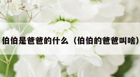 伯伯是爸爸的什么（伯伯的爸爸叫啥）