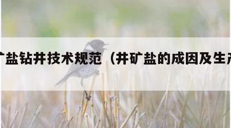 井矿盐钻井技术规范（井矿盐的成因及生产资料）