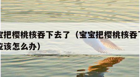 宝宝把樱桃核吞下去了（宝宝把樱桃核吞下去了应该怎么办）