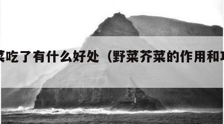 芥菜吃了有什么好处（野菜芥菜的作用和功效）